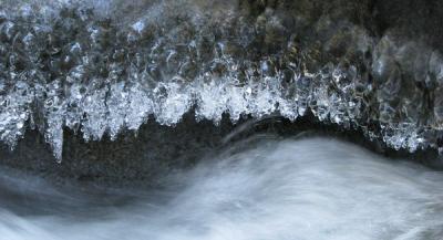 icy stream in the Olympic National Forest