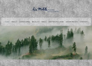 a screenshot of DemilitaPhotography.com