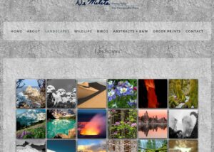 A screenshot of the landscape gallery page